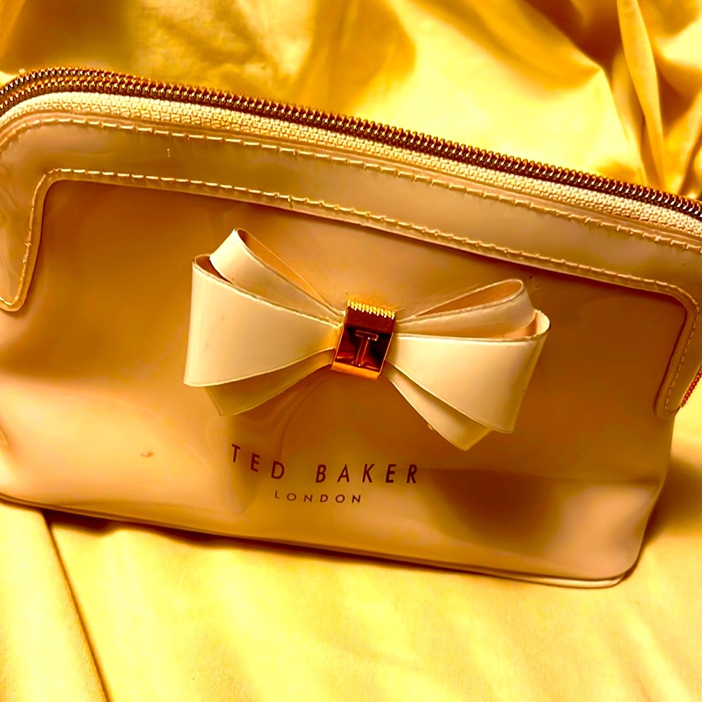 Ted baker mini bag